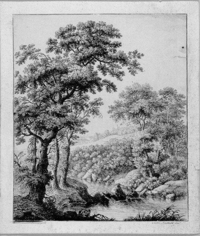 Vincenzo Martinelli-paesaggio con alberi -Biblioteca Comunale Planettiana, Jesi, Ancona